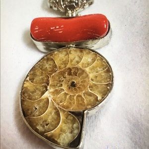 Natural Stone Snail Fossils Pendant & Silver Chain